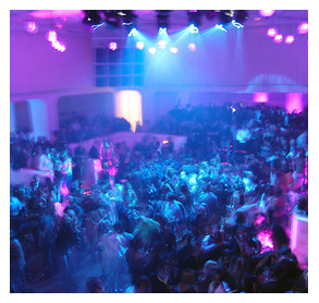 pacha